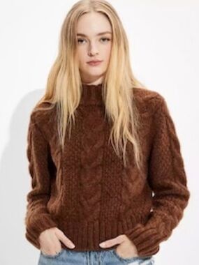 American Eagle Brown Knit Long Sleeve Turtle Neck